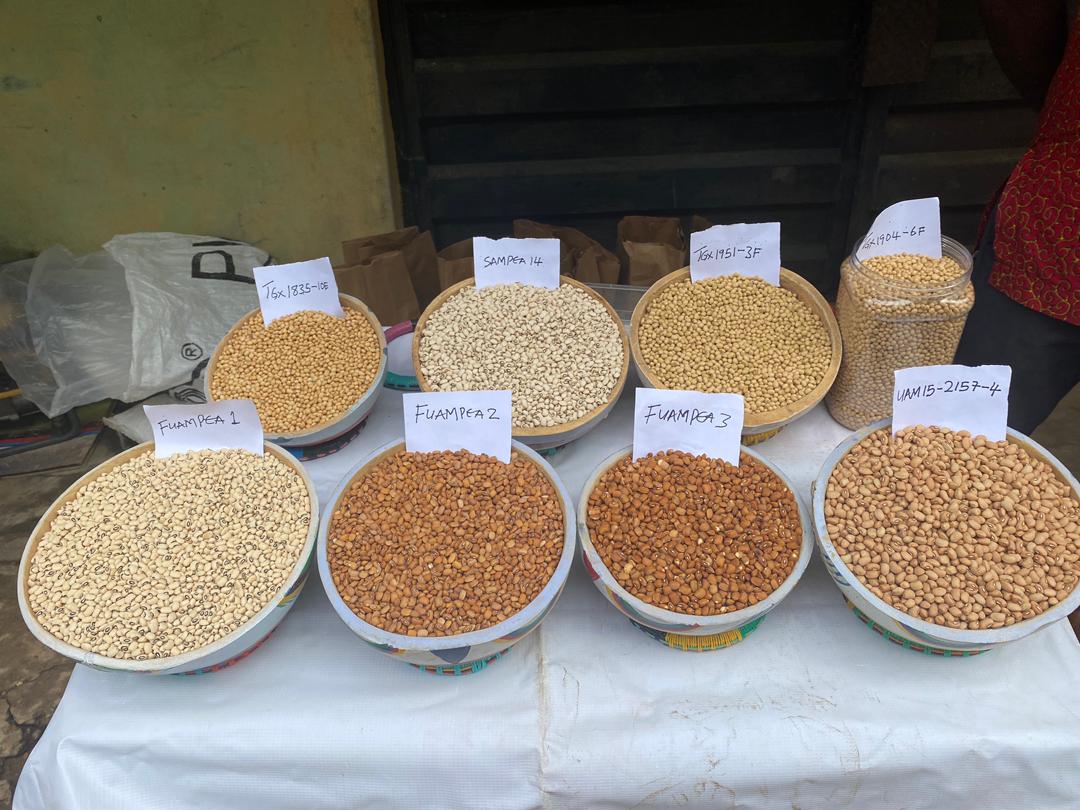 WhatsApp Image 2026-01-20 at 19.12.26 (2)