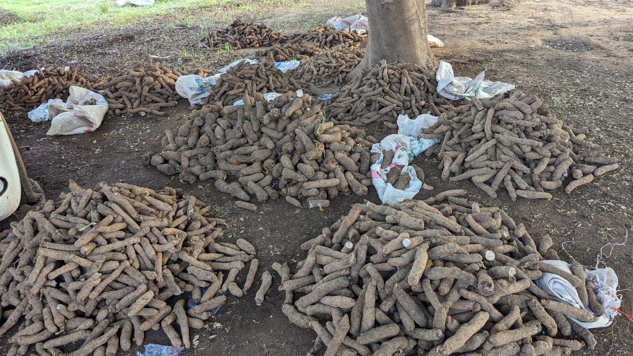 WhatsApp Image 2026-01-20 at 19.12.26