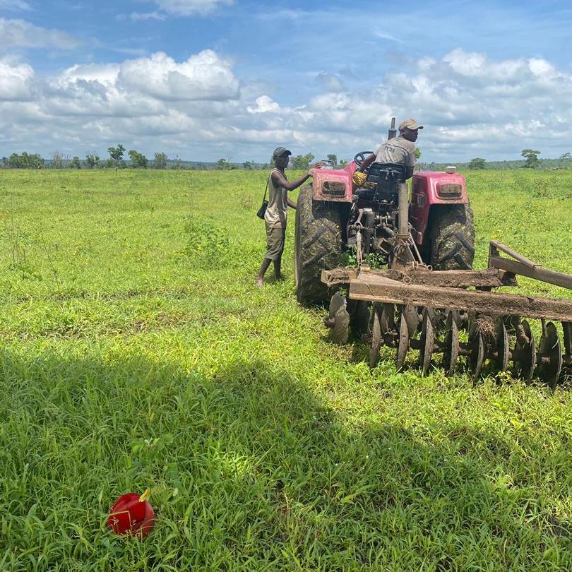 WhatsApp Image 2026-01-20 at 19.12.27 (1)